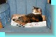 2002 05 06 jesse in box 2.jpg