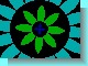 daisy.jpg