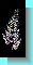 fern.jpg