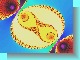yin_yang_big.jpg