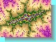 zorro.jpg