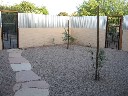backyard04.jpg