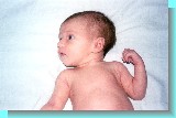 2001 11 18 Mari 4.jpg