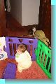 2002 11 12 Mari 01 2x3.jpg