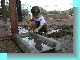 2003 07 27 mari 017.jpg